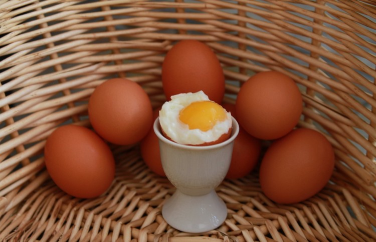 10 Largest Egg Producing Countries In The World