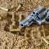 What Hedge Funds Think of Firearms Stocks
