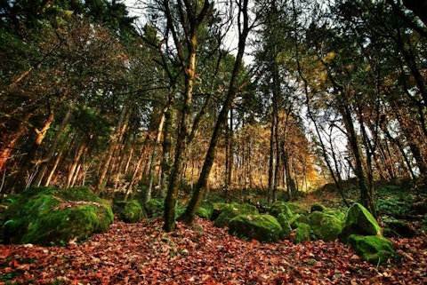 portland-251922_1280