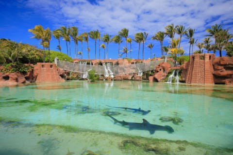 Worachat Sodsri/Shutterstock.com