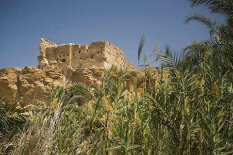 Anthon Jackson/Shutterstock.com