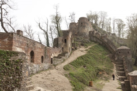 Tigergallery/Shutterstock.com