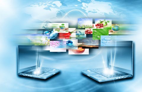 Toria/Shutterstock.com