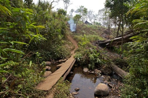 Jan Mastnik/Shutterstock.com