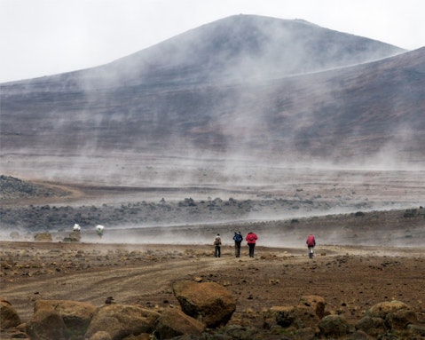 Vadim Petrakov/Shutterstock.com