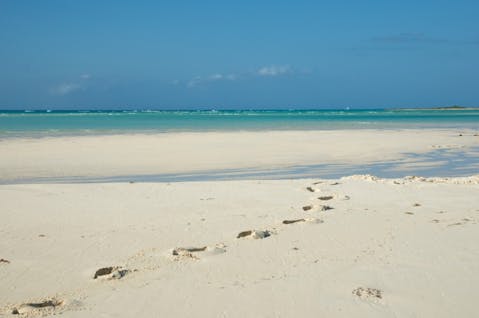 Nina Henry /Shutterstock.com