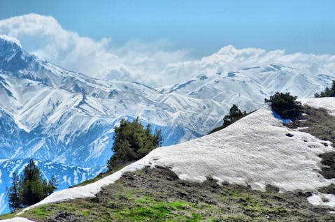 Konstantin Bolotov/Shutterstock.com