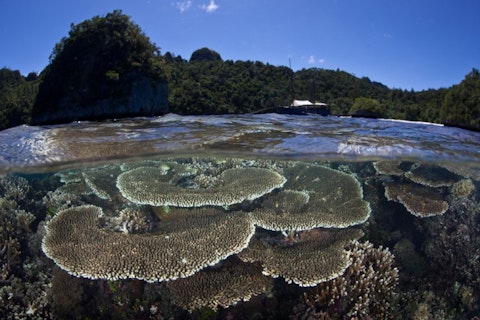 Ethan Daniels/Shutterstock.com