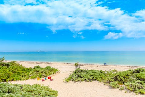 Javier Correa/Shutterstock.com