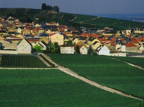 David Hughes/Shutterstock.com