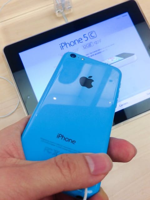 Canadapanda / Shutterstock.com