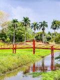 7 Best Places to Visit in Suriname Before You Die