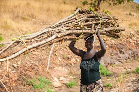 Anton_Ivanov / Shutterstock.com