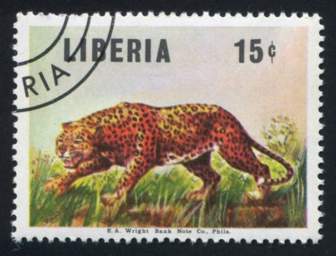 rook76/Shutterstock.com