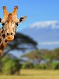 10 Best Places To Visit in Kenya Before You Die