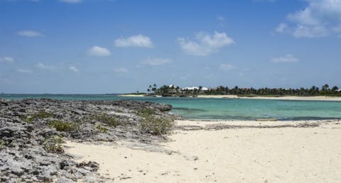 Erkki & Hanna/Shutterstock.com