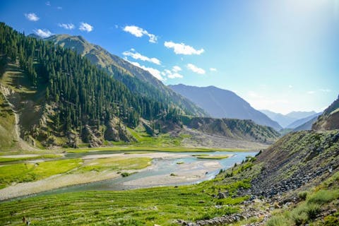 shaziafolio/Shutterstock.com