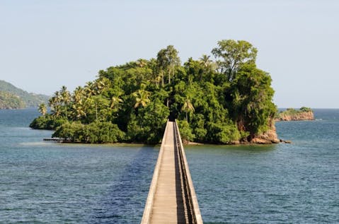 saaton/Shutterstock.com