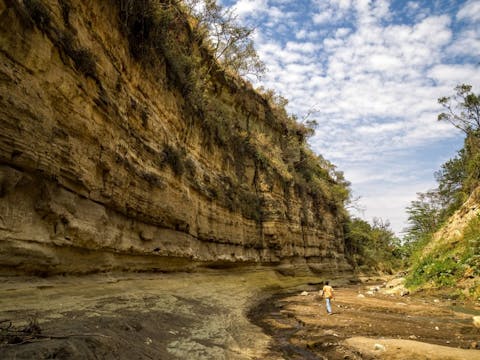 Toni Tejon/Shutterstock.com