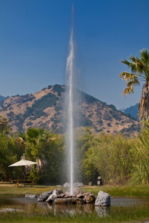 Eugene Berman/Shutterstock.com