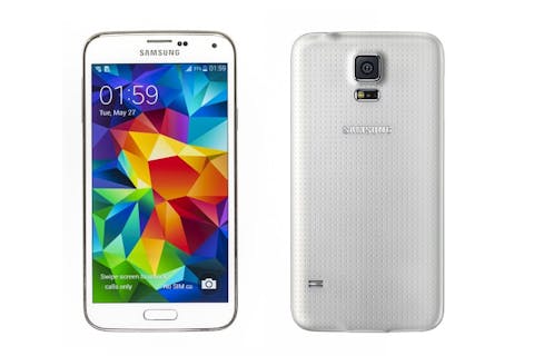 Zeynep Demir / Shutterstock.com