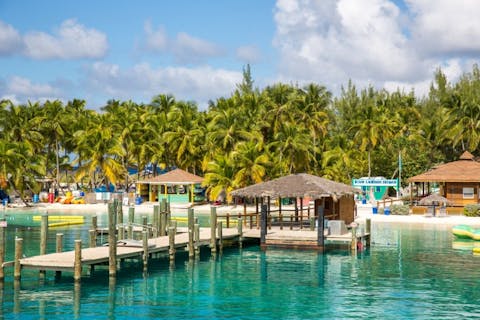 Victor Maschek/Shutterstock.com