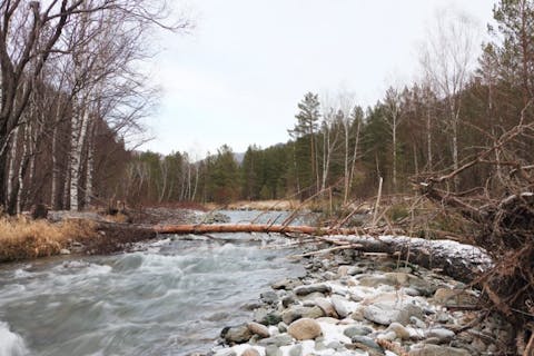 NATALIIA MAKAROVA/Shutterstock.com