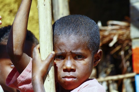 dr322/Shutterstock.com