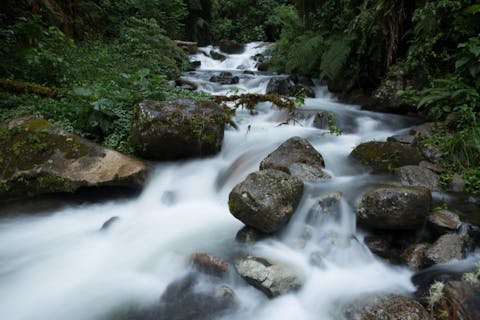 carloshod/Shutterstock.com