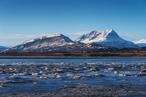 Rattanarud Suphan/Shutterstock.com