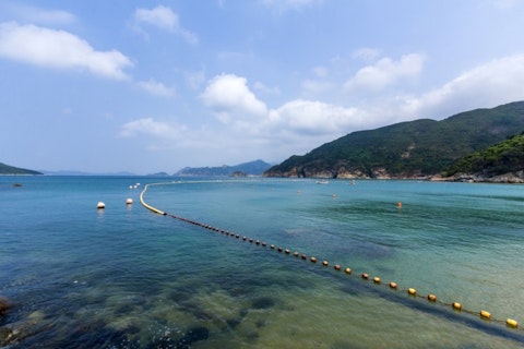 e X p o s e/Shutterstock.com