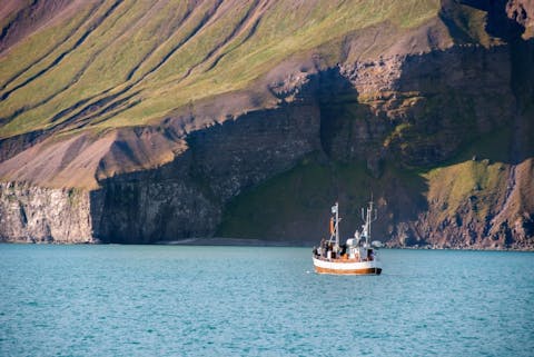 sergioboccardo/Shutterstock.com