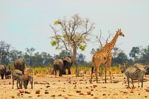 paula french/Shutterstock.com