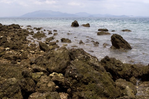 Tomasz Pado/Shutterstock.com