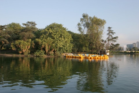 Humberto Ortega/Shutterstock.com