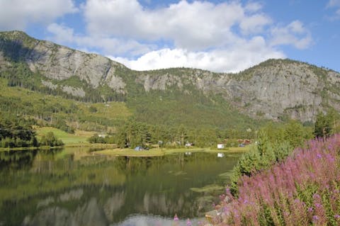 Zalka/Shutterstock.com