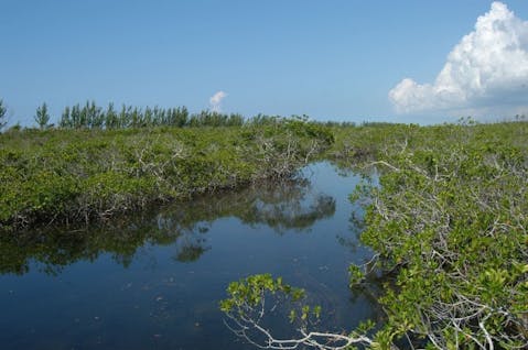 Albo/Shutterstock.com