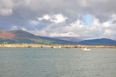 M Reel/Shutterstock.com