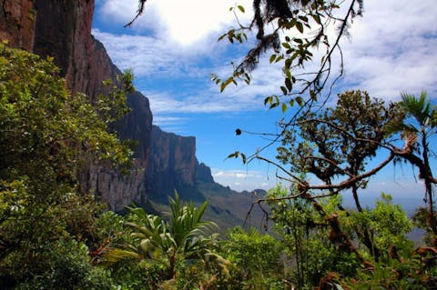 Karin Wassmer/Shutterstock.com