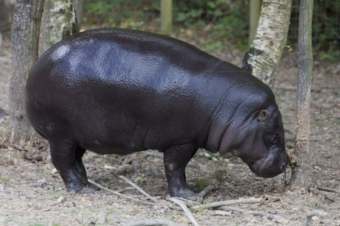 riekephotos/Shutterstock.com