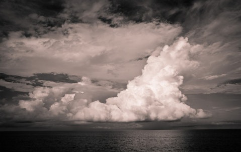 Janelle Lugge/Shutterstock.com