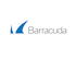 Bullish Hedgies Groan As Barracuda Networks Inc (CUDA) Posts Earnings Beat But Gets Clobbered In Trading