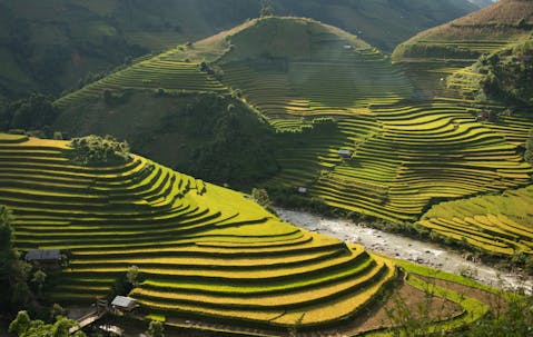 Beautiful Rice Terraces, South East Asia