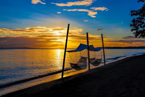 Donsol Whale Shark Capital