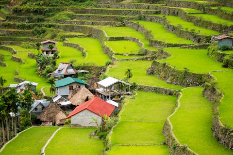 Rice terraces in the Philippines Rice cultivation in the North of the Philippines, Batad, Banaue