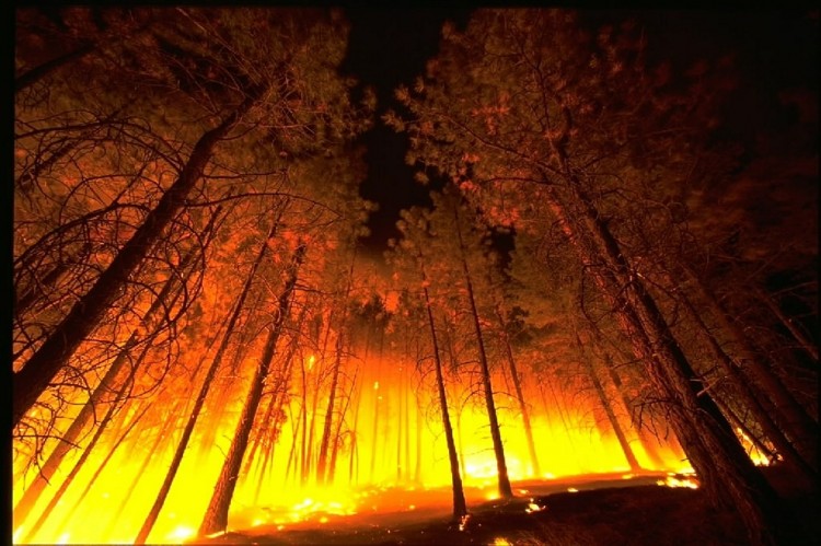 Biggest Fires in US History