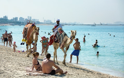 United Arab Emirates Arabic Dubai Camel Ride Coast Leisure Travel