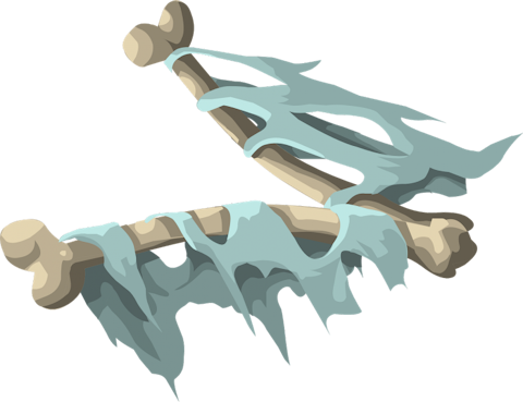 bones-575325_1280