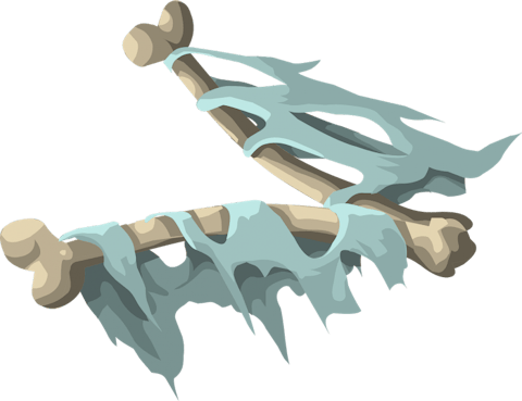 bones-575325_1280
