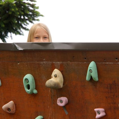 climbing-wall-364397_1920